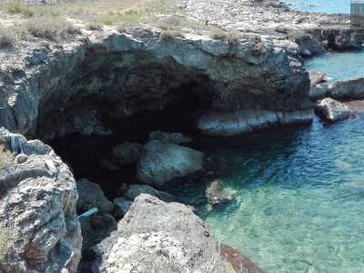 Sono presenti anche grotte, tra cui spicca quella di �Torre Ripagnola�